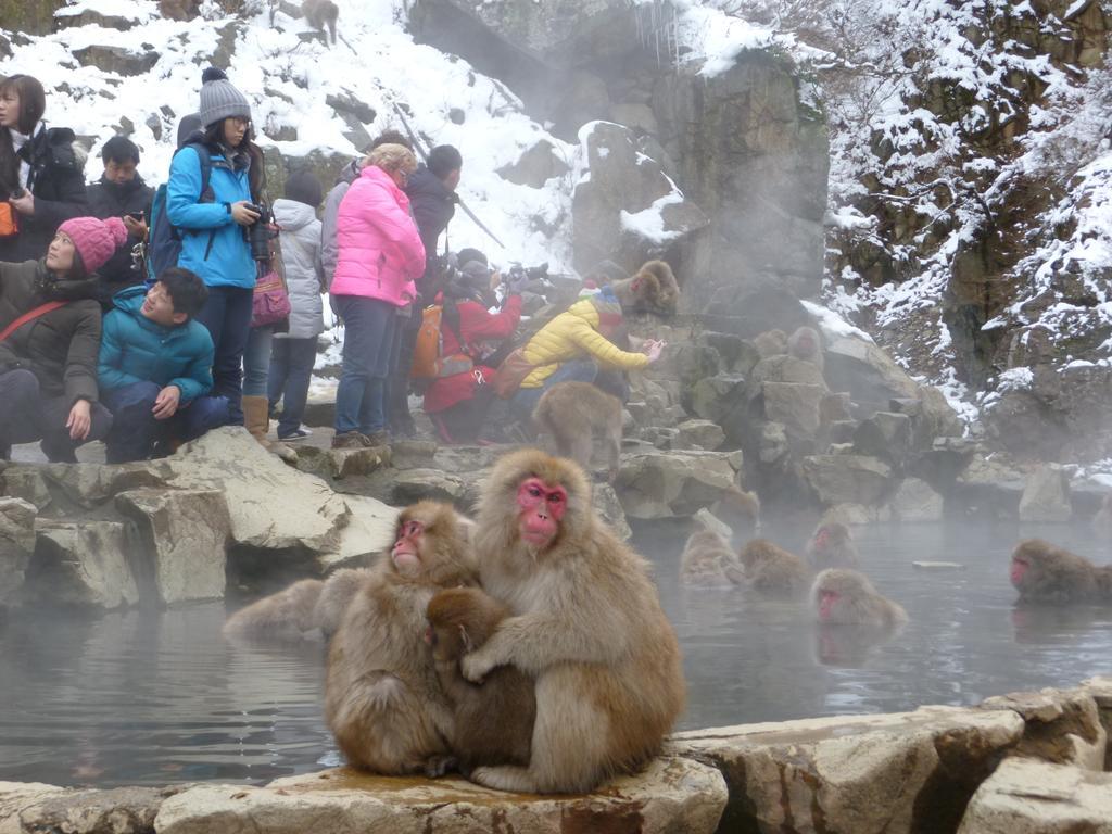 Akakura Yours Inn Myōkō Dış mekan fotoğraf